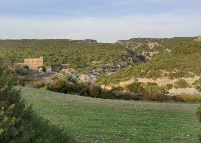 Visite guidate a Matera